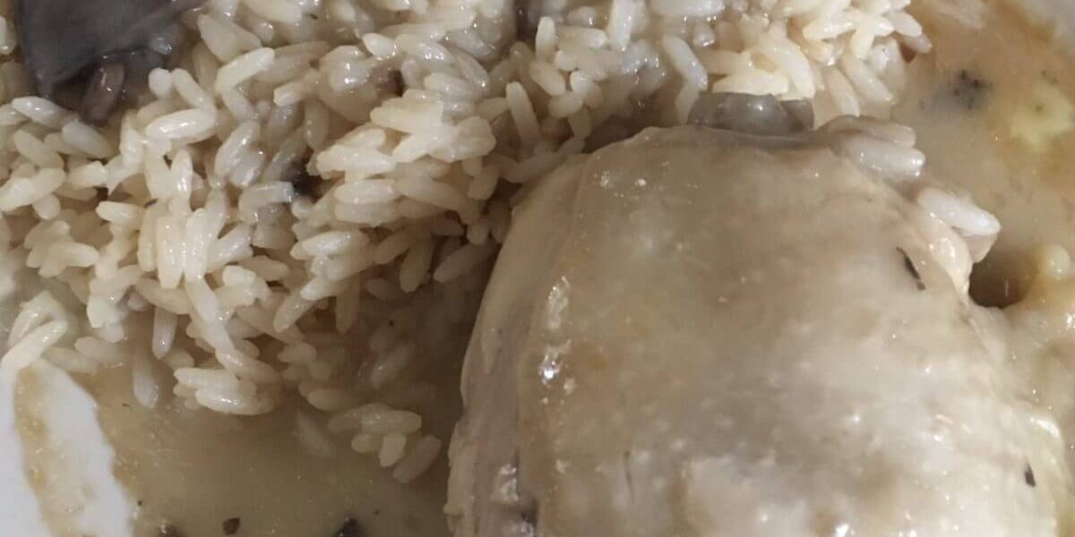 Chicken in Mushroom Gravy w/ white rice